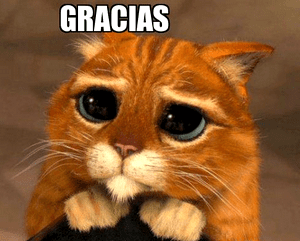 Gracias.png