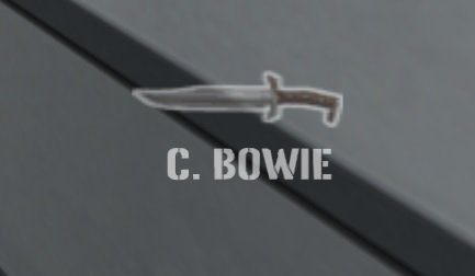 3-C. BOWIE.jpg