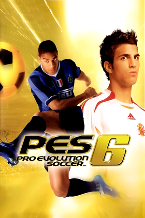 JUEGO-PC-PRO_EVOL_SOCCER_2006-COVER.png
