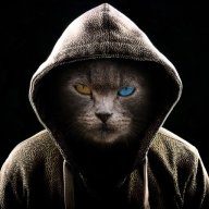 Neko Bellic