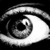 Davidloru04