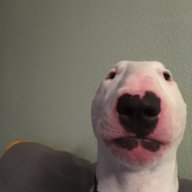 Zulraja