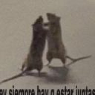meimeio