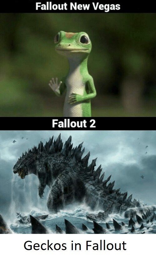 fallout meme | Fallout Amino